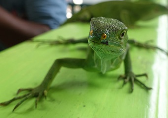DSC08242a